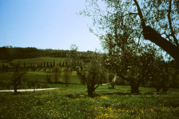 125_19.04.-Abtei S. Antimo in Crete